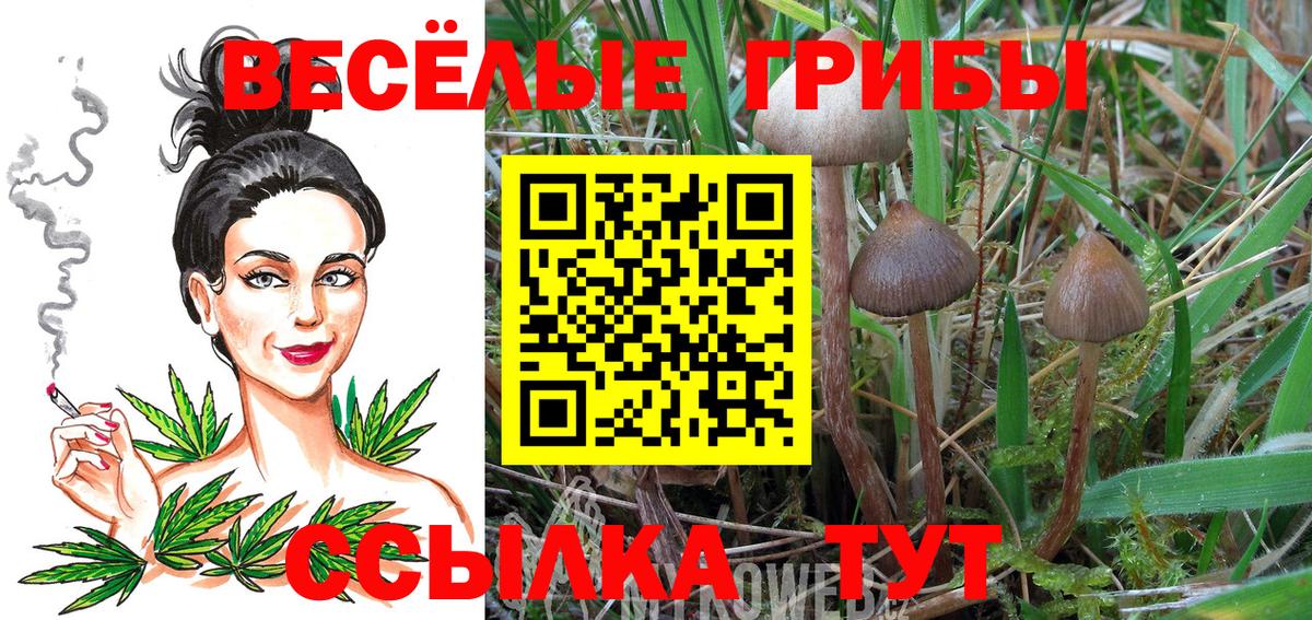Стрежевой  Галлюциногенные грибы Psilocybe  Галлюциногенные грибы Magic Shrooms  Вход с VPN 